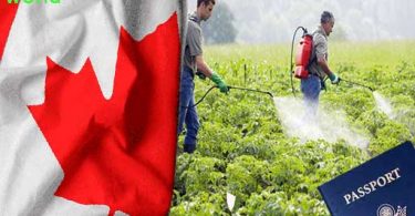 العمل في كندا 2022 في المزارع و الحقول