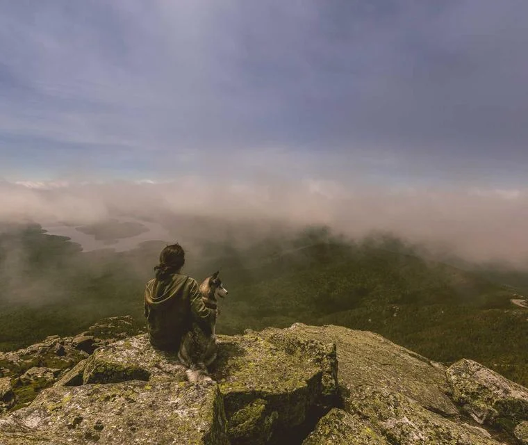 دليل اقتناص فرصة عمل في كندا 2026 بعقد دائم